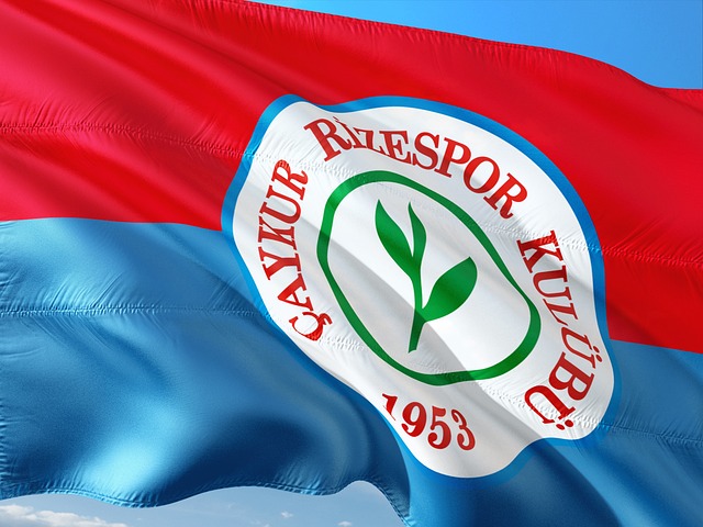 莫维奇的再 莫维奇的再